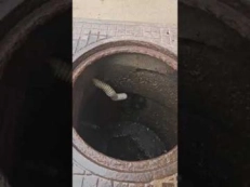 schimbare tevi canalizare, inlocuire canalizari Bucuresti